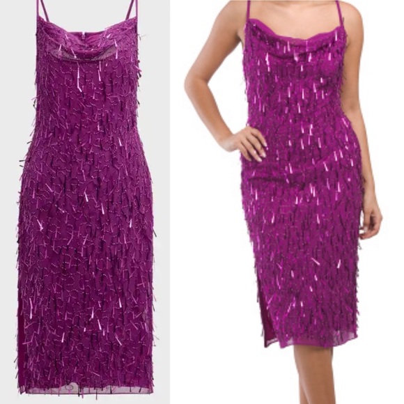 Liv Foster Dresses & Skirts - LIV FOSTER
Sleeveless Beaded magenta Cocktail Dress
Size 0 nwt